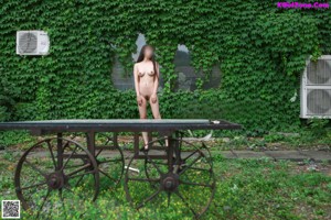 A naked woman standing on the steps of a train.